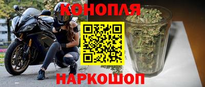 прущие грибы Заволжье