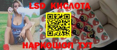 прущие грибы Заволжье